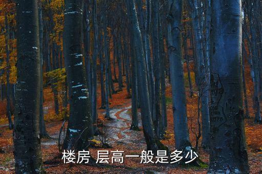 樓房 層高一般是多少