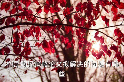 術(shù)語(yǔ) 翻譯策略論文擬解決的問(wèn)題有哪些
