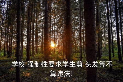  學(xué)校 強(qiáng)制性要求學(xué)生剪 頭發(fā)算不算違法!