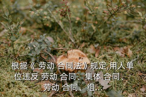 根據(jù)《 勞動 合同法》規(guī)定,用人單位違反 勞動 合同、集體 合同、 勞動 合同、組...