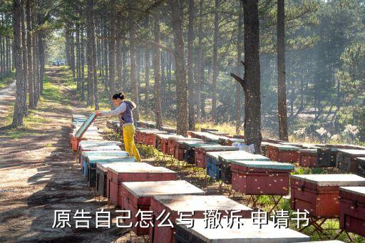 原告自己怎么寫(xiě) 撤訴 申請(qǐng)書(shū)
