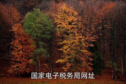 網(wǎng)上辦稅服務(wù)大廳,國家稅務(wù)總局網(wǎng)上辦稅服務(wù)廳