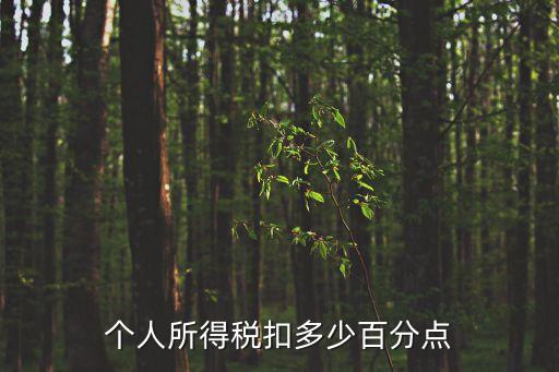個人所得稅扣多少百分點