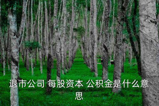 退市公司 每股資本 公積金是什么意思