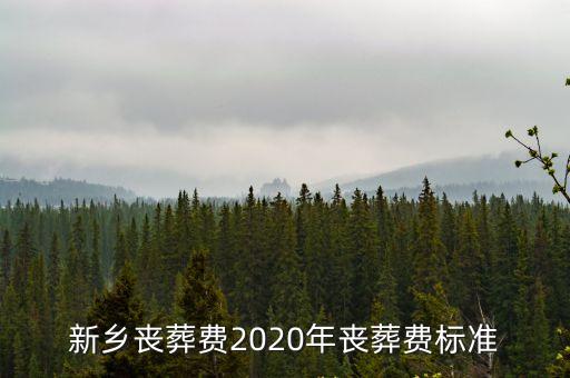 新鄉(xiāng)喪葬費(fèi)2020年喪葬費(fèi)標(biāo)準(zhǔn)