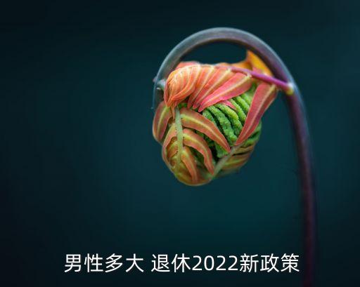 中國(guó)男性退休年齡