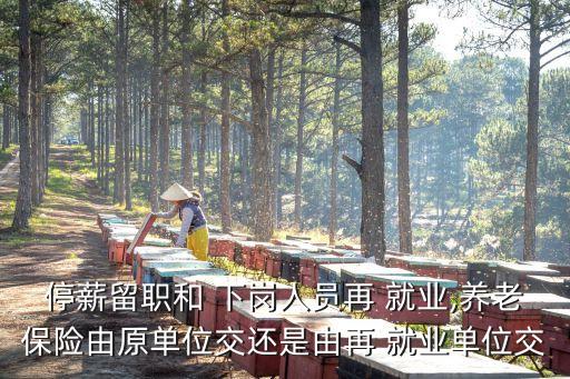 下崗再就業(yè),糊咖下崗再就業(yè)