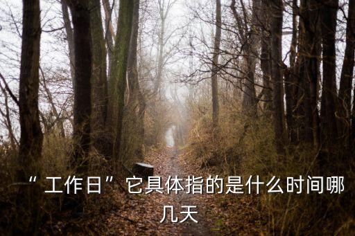 一個(gè)工作日是幾天,國家規(guī)定一個(gè)工作日是幾天