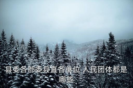 人民團體
