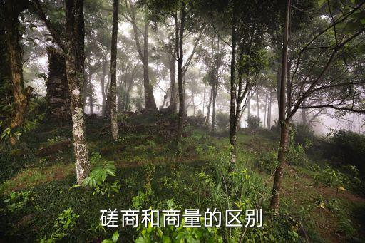 磋商和商量的區(qū)別