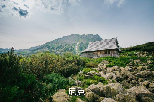新拓尼克