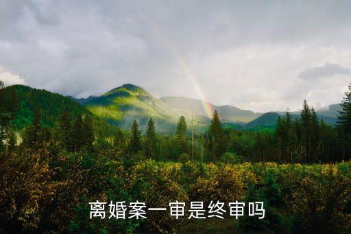  離婚案一審是終審嗎