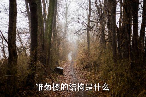 雛菊櫻的結(jié)構(gòu)是什么