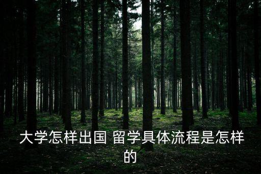  大學怎樣出國 留學具體流程是怎樣的