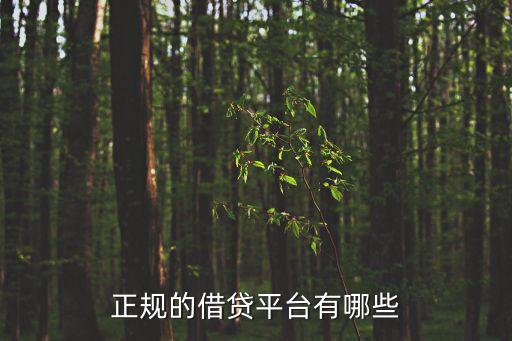 正規(guī)的借貸平臺(tái)有哪些