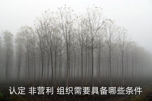 認定 非營利 組織需要具備哪些條件