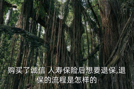 購買了誠信 人壽保險(xiǎn)后想要退保,退保的流程是怎樣的