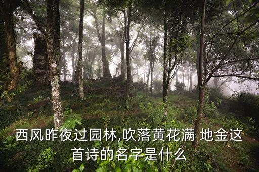 西風(fēng)昨夜過園林,吹落黃花滿 地金這首詩的名字是什么