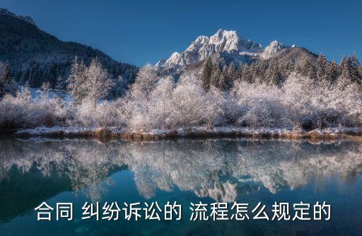 合同糾紛立案流程,租房合同糾紛立案流程