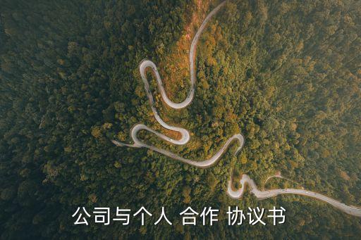 公司與個人 合作 協(xié)議書