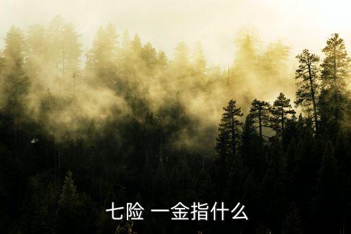 七險 一金指什么