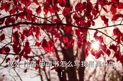 住宿申請書,學(xué)生晚上回家住宿申請書