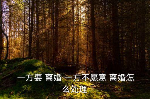  一方要 離婚 一方不愿意 離婚怎么處理