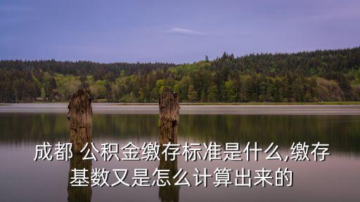  成都 公積金繳存標(biāo)準(zhǔn)是什么,繳存 基數(shù)又是怎么計(jì)算出來(lái)的