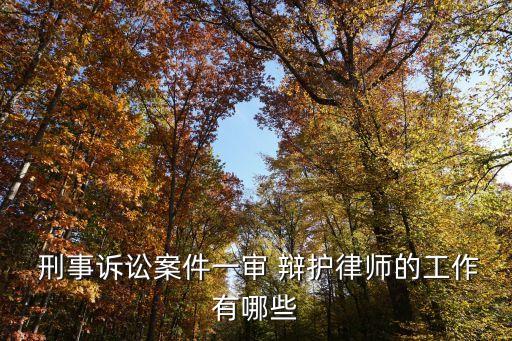 刑事辯護(hù)律師