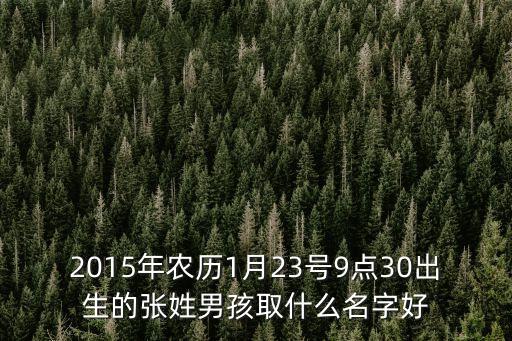 2015年農(nóng)歷1月23號9點30出生的張姓男孩取什么名字好