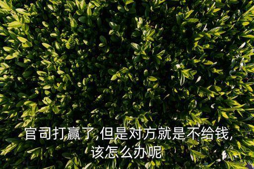  官司打贏了,但是對方就是不給錢,該怎么辦呢
