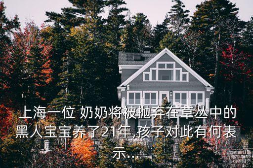 上海奶奶,滬上阿姨又叫上海奶奶