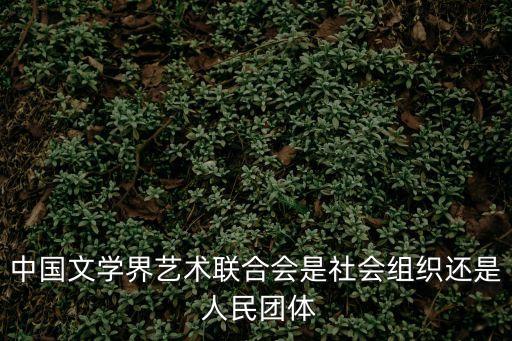 中國(guó)文學(xué)界藝術(shù)聯(lián)合會(huì)是社會(huì)組織還是 人民團(tuán)體