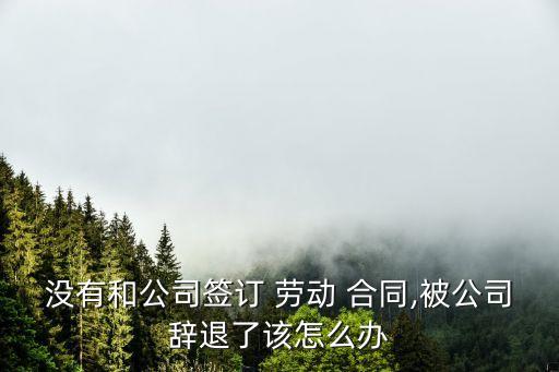 沒有簽勞動合同被開除怎么辦,經(jīng)常遲到?jīng)]簽勞動合同被開除