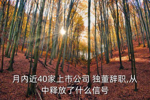 月內(nèi)近40家上市公司 獨(dú)董辭職,從中釋放了什么信號(hào)