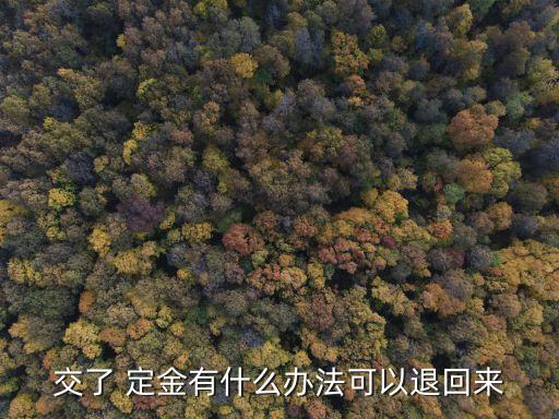 交了 定金有什么辦法可以退回來(lái)