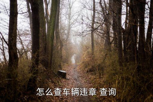 交通違章記錄查詢,微信怎么查交通違章記錄查詢