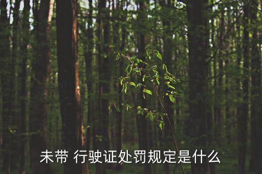 未帶 行駛證處罰規(guī)定是什么
