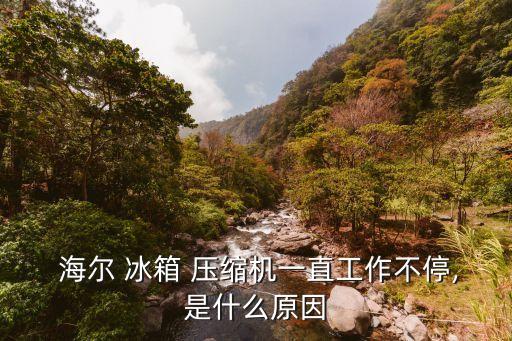 海爾 冰箱 壓縮機(jī)一直工作不停,是什么原因