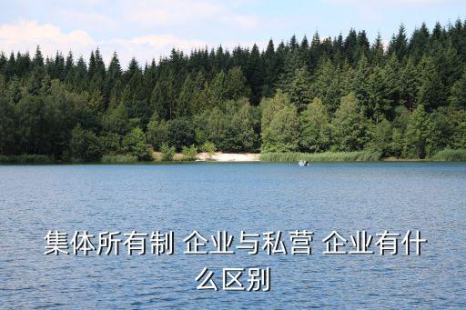  集體所有制 企業(yè)與私營 企業(yè)有什么區(qū)別
