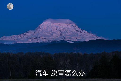 車(chē)輛脫審