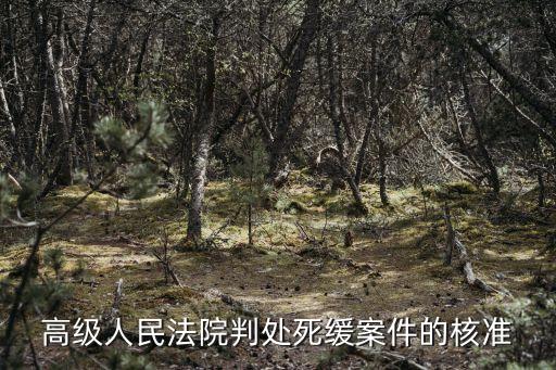 高級(jí)人民法院判處死緩案件的核準(zhǔn)