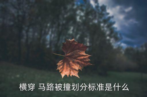  橫穿 馬路被撞劃分標準是什么