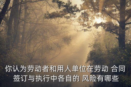 你認(rèn)為勞動(dòng)者和用人單位在勞動(dòng) 合同 簽訂與執(zhí)行中各自的 風(fēng)險(xiǎn)有哪些