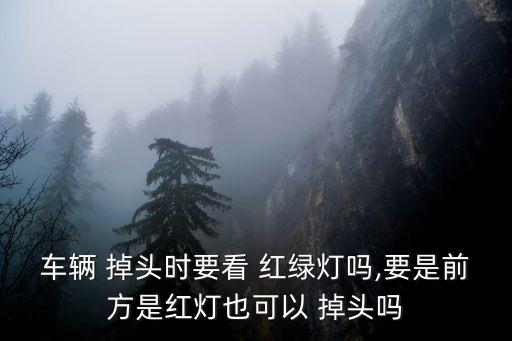 車輛 掉頭時(shí)要看 紅綠燈嗎,要是前方是紅燈也可以 掉頭嗎