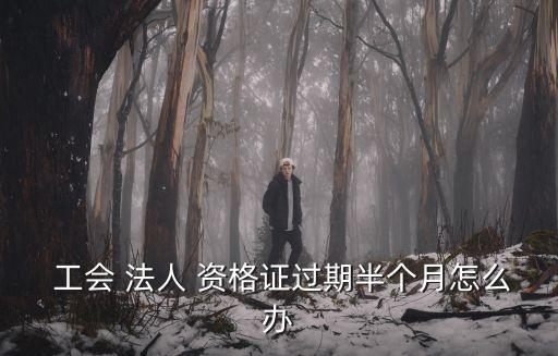  工會 法人 資格證過期半個月怎么辦