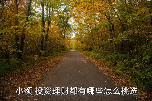小額投資