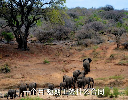 一個(gè)月 短期工簽什么合同