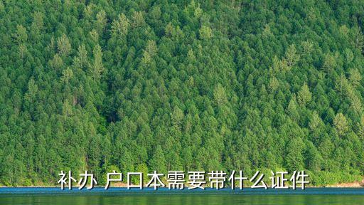  補(bǔ)辦 戶口本需要帶什么證件