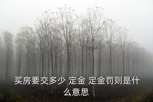 關(guān)于買(mǎi)房定金的法律規(guī)定,買(mǎi)房定金合同具備法律效應(yīng)嗎